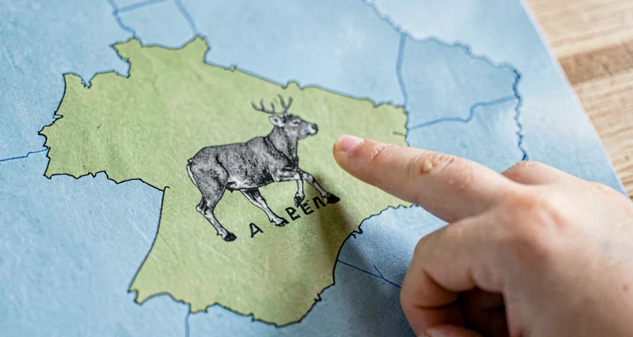 criança associando animal ao seu bioma em mapa simplificado do brasil