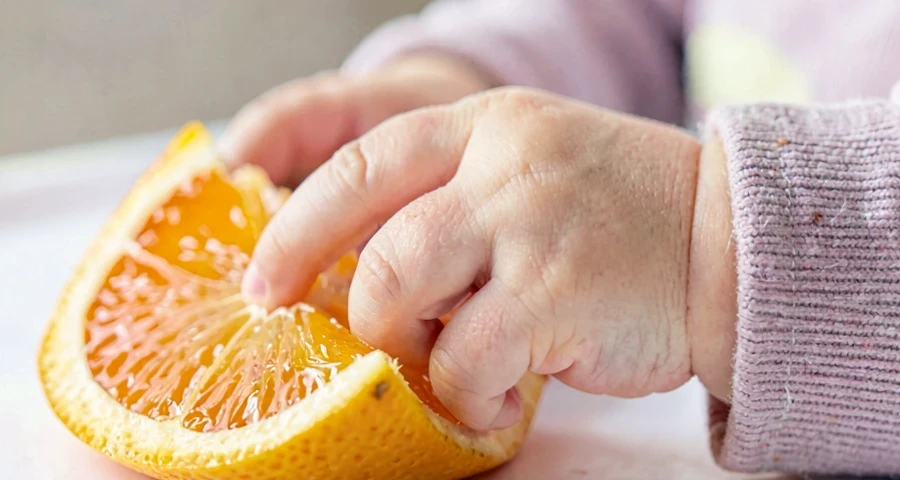 bebê tocando pedaço de fruta cortada durante atividade investigativa na creche